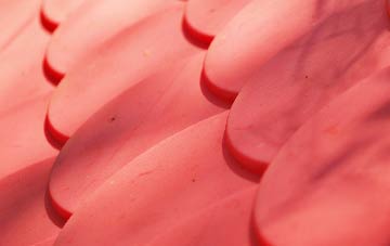 Robroyston plastic roof costs